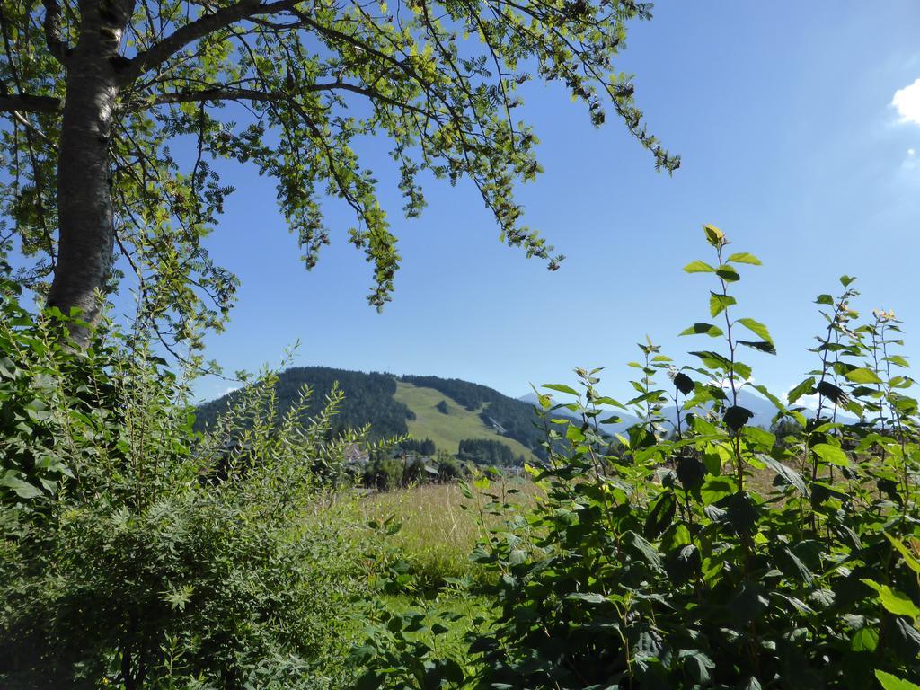 Haus Suedblick Appartements Seefeld in Tirol Exterior foto